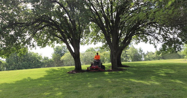 Mowing companies discount in my area